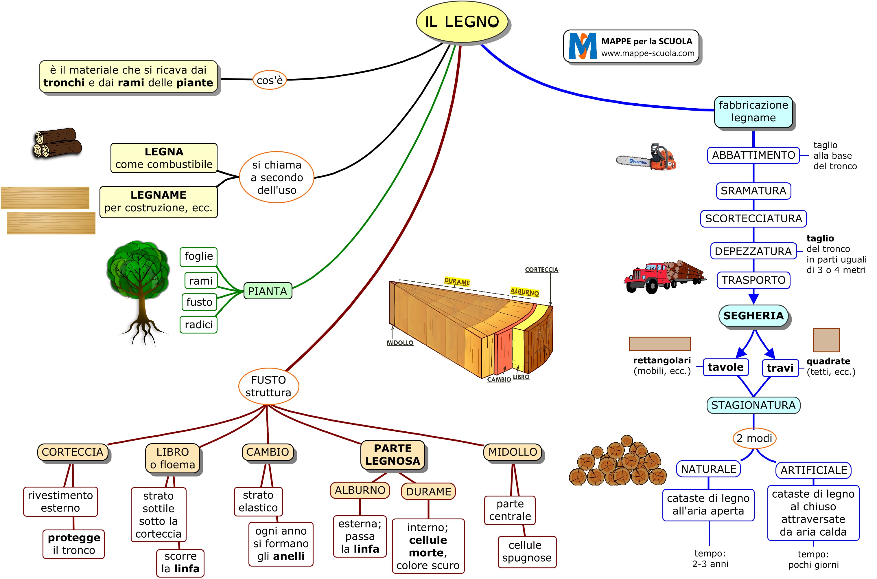 Fase 4:Lezione dialogata