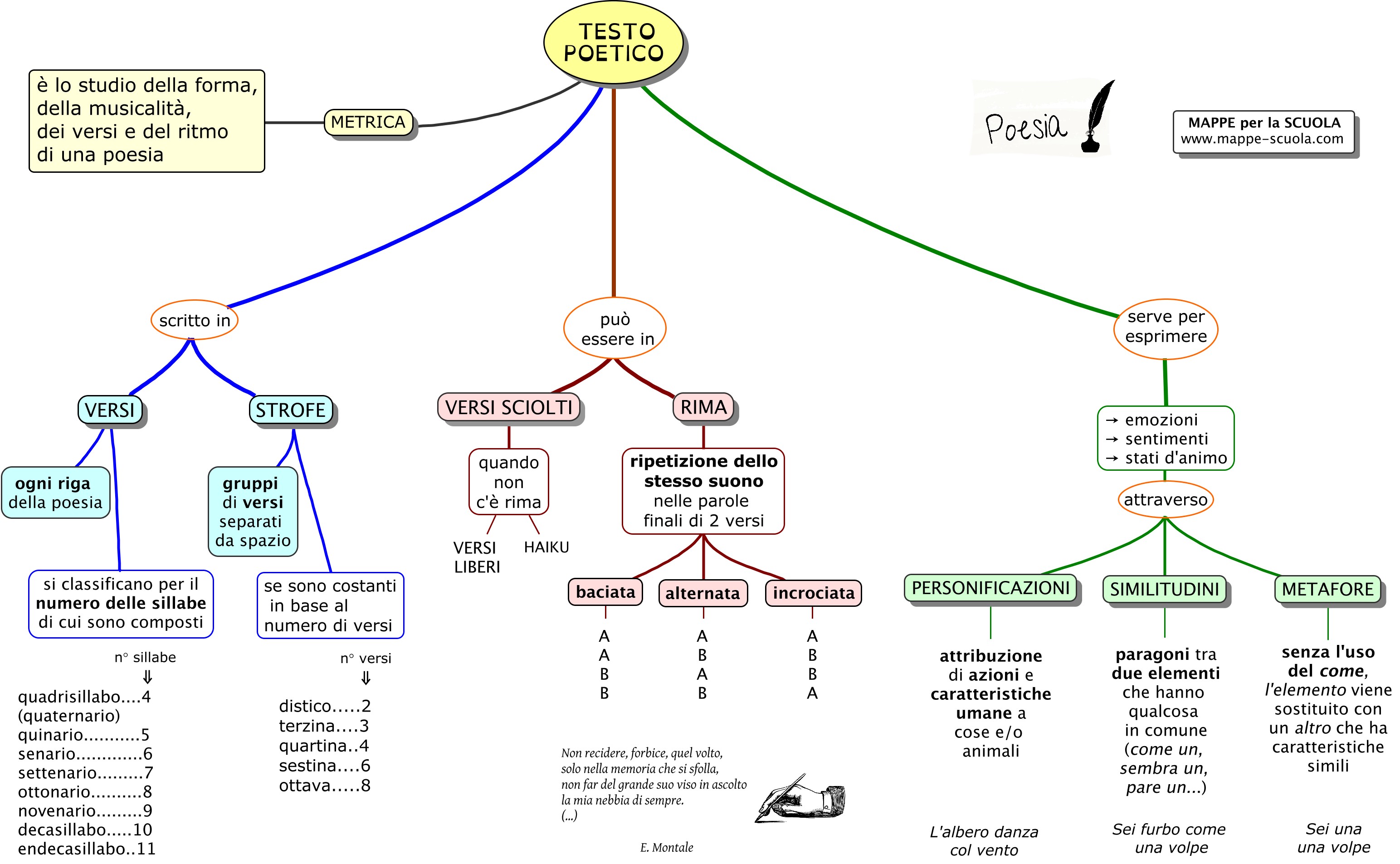 Schema Poesia Scuola Primaria