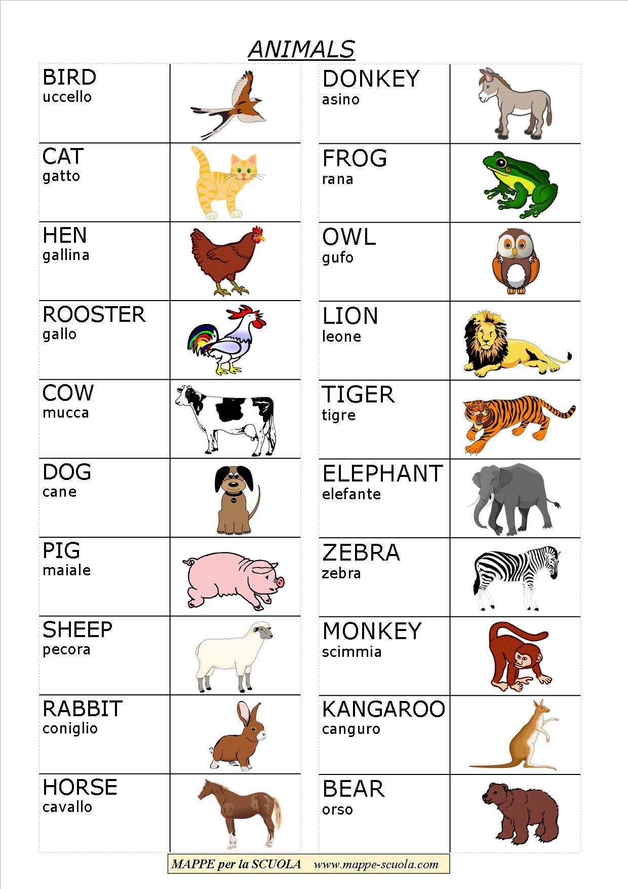 Mappe Per La Scuola Animals Animali